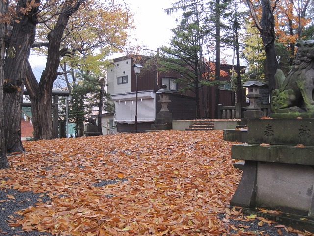 f0202703_2250896.jpg