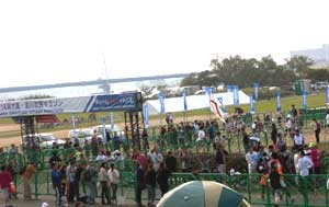 d0052404_19273849.jpg