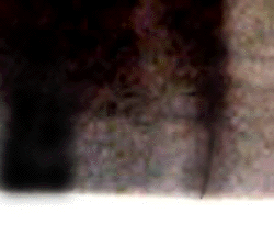 e0103408_13181751.gif