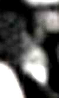 e0103408_13183822.gif