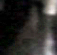 e0103408_1318571.gif