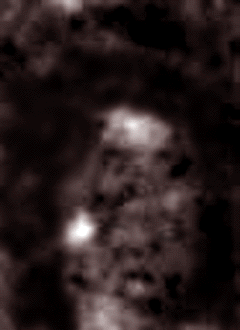 e0103408_1393855.gif