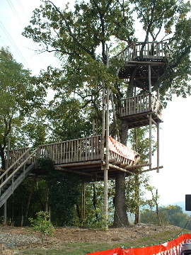 b0182709_1226406.jpg