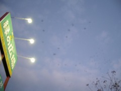c0190010_21233682.jpg