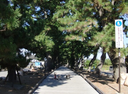 e0078510_23382933.jpg