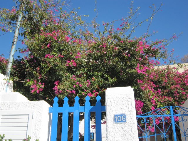 d0004214_073524.jpg