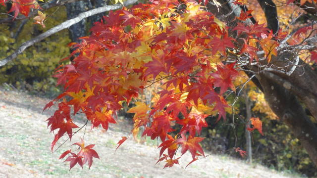 f0233414_21103470.jpg