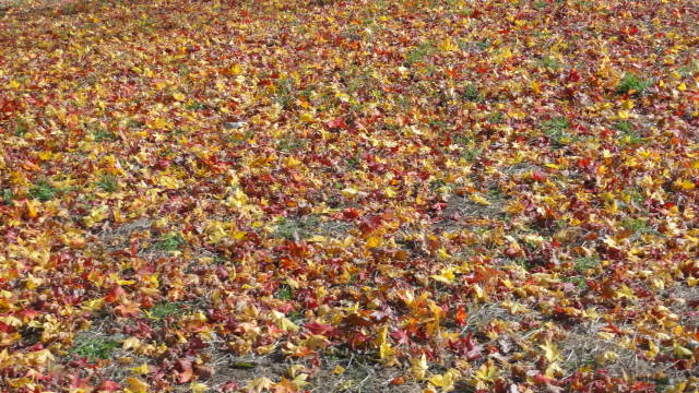 f0233414_2111356.jpg