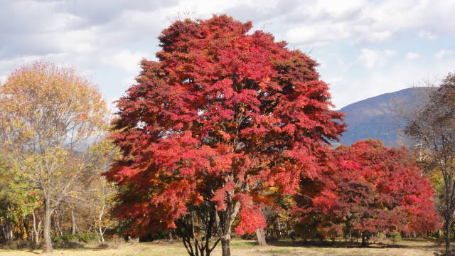 f0233414_21121695.jpg