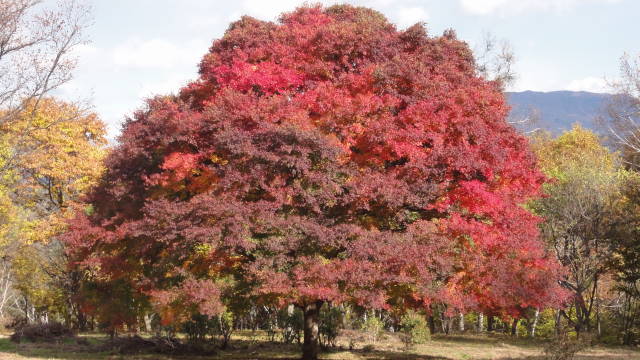 f0233414_21333010.jpg