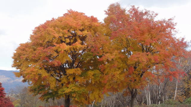 f0233414_21353979.jpg