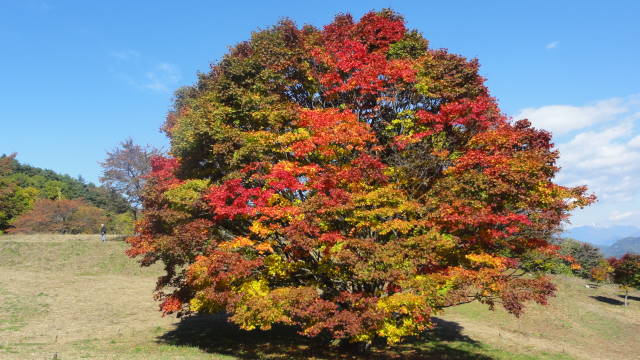 f0233414_218615.jpg