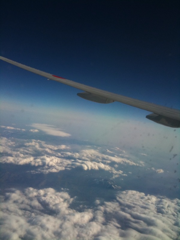 c0079716_332233.jpg