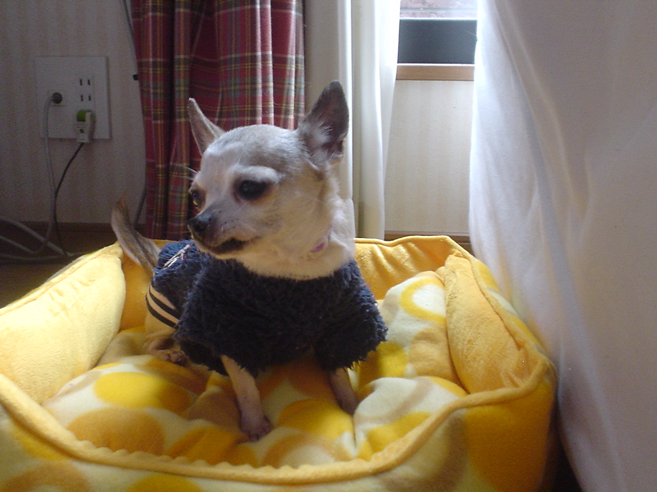 c0150520_23341281.jpg