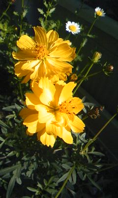 d0024220_13145840.jpg