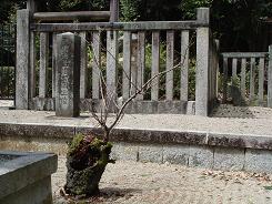 f0000521_551166.jpg