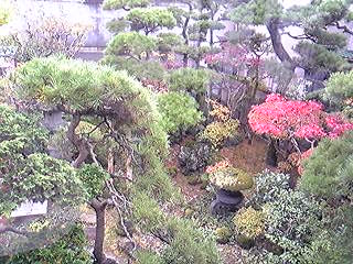 f0028123_12163794.jpg