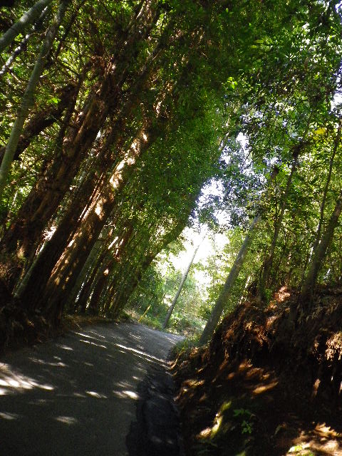 d0193224_2313459.jpg