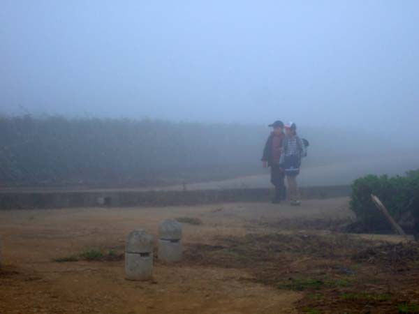 f0147025_1652870.jpg