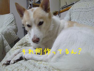 b0138430_19414640.jpg