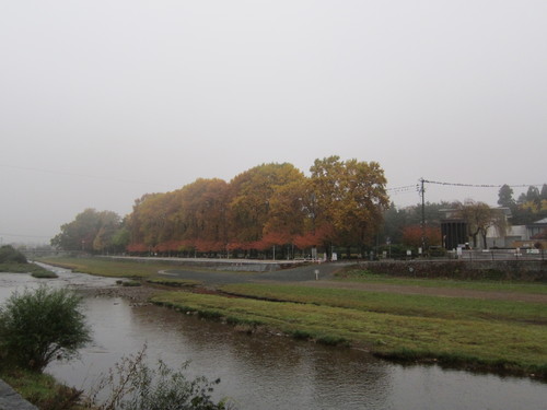 d0156438_1217960.jpg