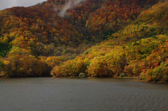 b0130243_22312292.jpg