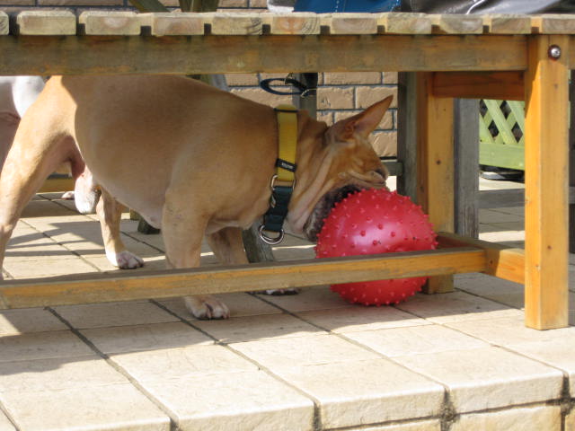 f0090344_2205626.jpg