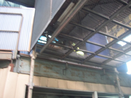 a0044046_034097.jpg