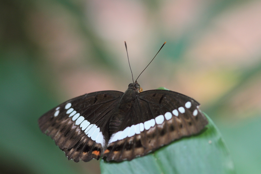 a0094850_1083134.jpg