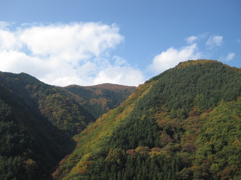 a0162251_15121561.jpg