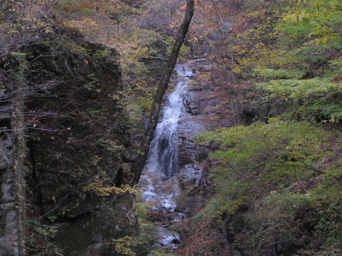 a0162251_1519724.jpg