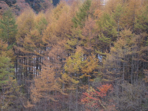 a0162251_15244716.jpg