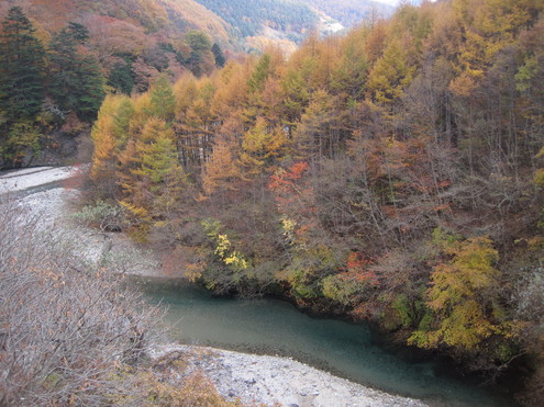 a0162251_152465.jpg