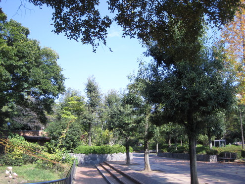 a0162251_1531774.jpg