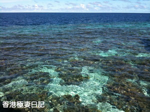 f0190653_11401694.jpg