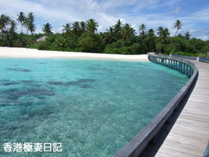 f0190653_11405299.jpg