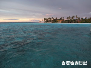 f0190653_1631856.jpg