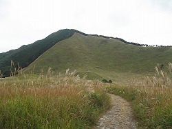 e0041168_153365.jpg