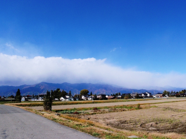 d0091069_2331812.jpg