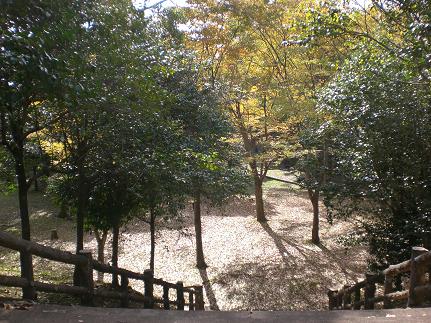 c0222471_1455883.jpg