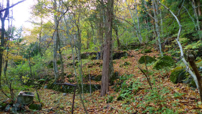 f0182173_223234.jpg