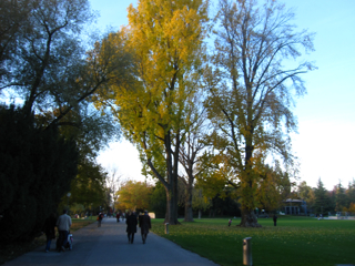 f0225877_6384971.jpg
