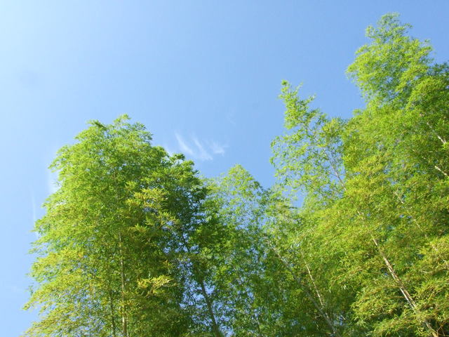 a0106978_0274861.jpg