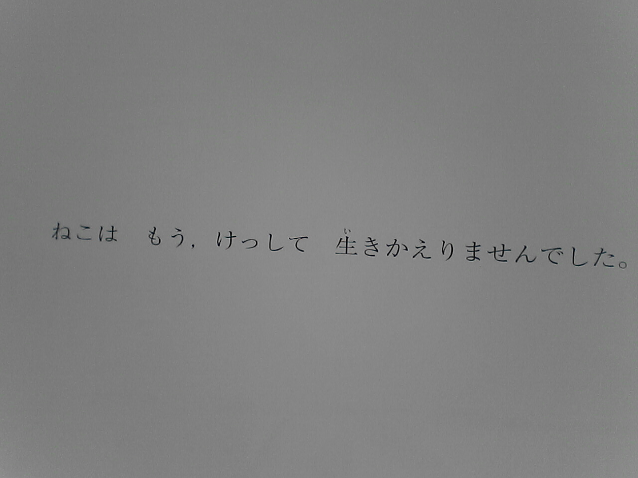 c0069380_11395748.jpg