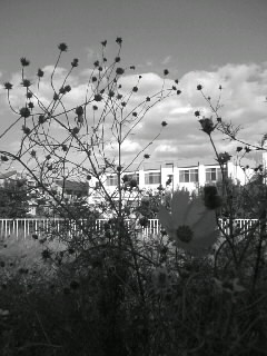 f0100480_21534375.jpg
