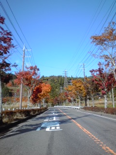 c0096582_23114177.jpg