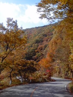 c0096582_23174176.jpg