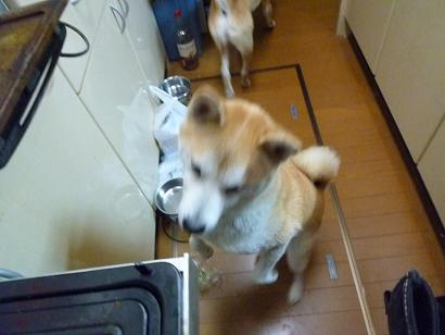 c0123890_2124324.jpg
