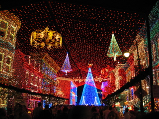 e0161692_8194150.jpg