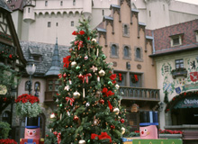 e0161692_8215994.jpg